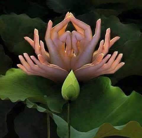 Hồng phát TH shop